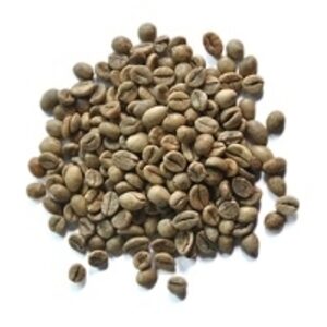  Green Coffee Bean Robusta Fine Grade  by  CV. Premium Culinary Resources (divine Spices) 