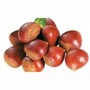 Chestnut by  Mao Lv Yuan Co., Ltd. 