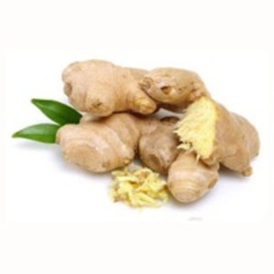 Ginger by  Mao Lv Yuan Co., Ltd. 