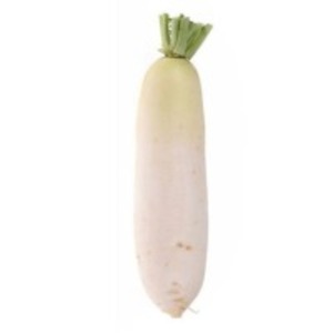 White Radish by  Mao Lv Yuan Co., Ltd. 