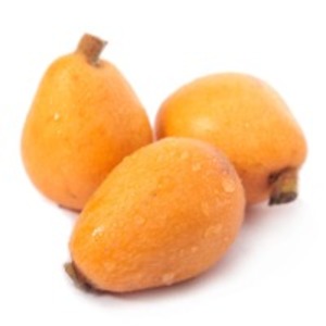 Loquat by  Mao Lv Yuan Co., Ltd. 