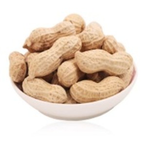 Peanut by  Mao Lv Yuan Co., Ltd. 