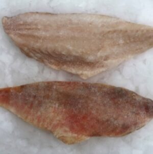 Golden Redfish Fillet 