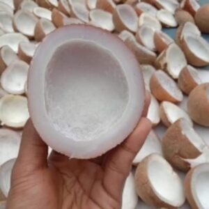 Copra Origin Indonesia by  PT Agro Coco Indonesia 