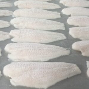  Pangasius Fillets Well-Trimmed 