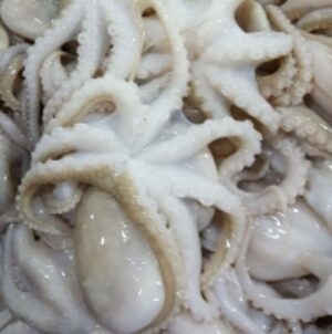 Frozen Baby Octopus by  Viko Seafood 