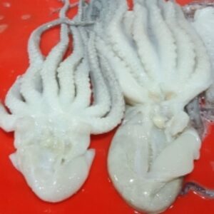 Frozen Poulp Squid Cut