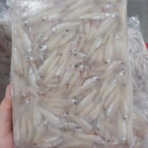 Frozen River Anchovy Fish by  Hung Thinh Long Xuyen Company Limited 
