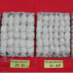 Frozen Clean Cuttlefish