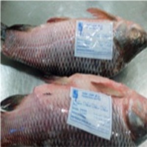  Rohu  by  Land & Sea International 