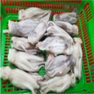 Giant Squid by  Land & Sea International 