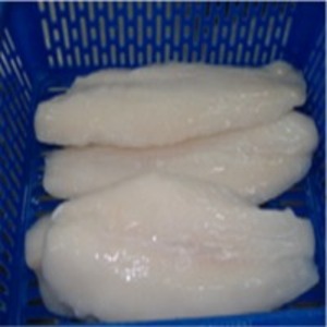  Pangasious/ Basa  by  Land & Sea International 