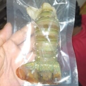 Lobster Tail by Dhe Pelita Cemerlang, Pt