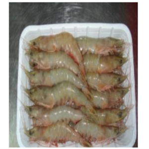Head-On White Shrimps by  Aljunaid Seafood Enterprises 