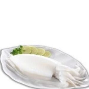 Cuttlefish Whole Clean by  Aljunaid Seafood Enterprises 