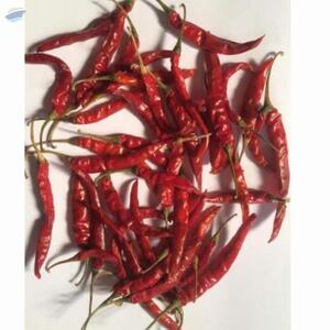 Teja Red Chilli by  Qst Exports Pvt. Ltd 