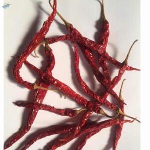 Red Chilly/byadgi-Wrinkled by  Qst Exports Pvt. Ltd 