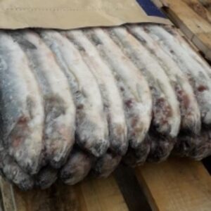 Herring by  Business Exchange Int. 