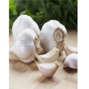  Garlic  by  Eldeeb For Import & Export 