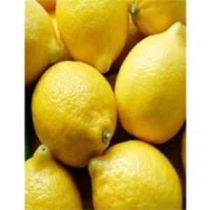 Lemons by  Eldeeb For Import & Export 
