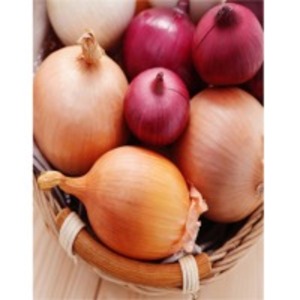 Red And Yellow Onions by  Eldeeb For Import & Export 