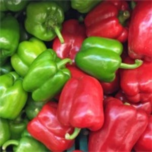  Pepper Colors  by  Eldeeb For Import & Export 