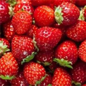 Strawberries by  Eldeeb For Import & Export 