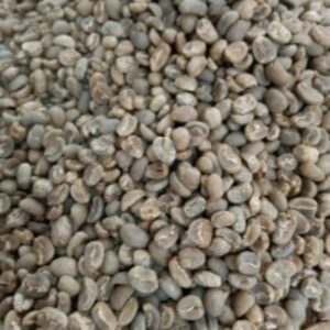 Robusta Green Coffee Bean by  Cv Natana Marine 