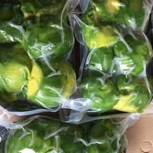 Frozen Avocado by  Huvy Export Import Co., Ltd. 