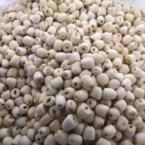 Lotus Seeds by  Huvy Export Import Co., Ltd. 