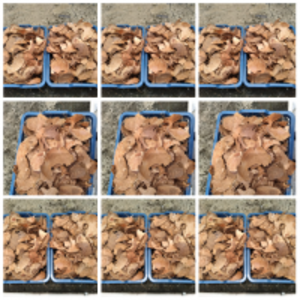 Coconut Shell by  PT. Royal Andalas 