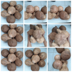 Dehusked Coconut by  PT. Royal Andalas 