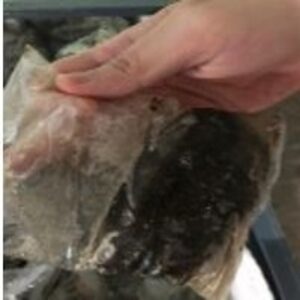 Soft Shell Crab by  Medikos Industries 