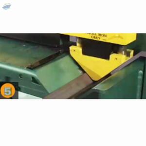 Angle Shear by  Moolow International 