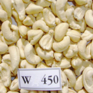 Raw Cashews W450 by Fic Company Limited