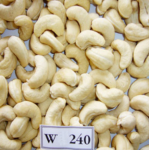 Raw Cashews  W240 by  Fic Company Limited 