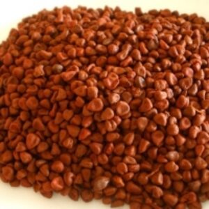 Annatto Seeds by  Enkay Indo-nigeria Ind. Ltd. 