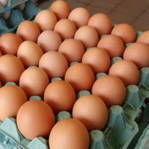 Eggs by Lakay Business