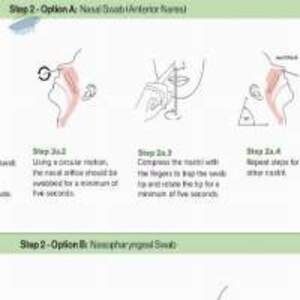 Antigen Rapid Test And Pcr - Image 2