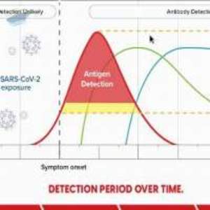 Antigen Rapid Test And Pcr - Image 3