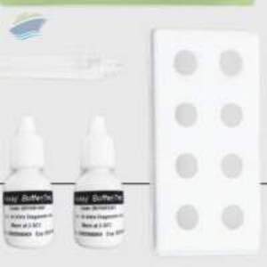 Antigen Rapid Test And Pcr - Image 5