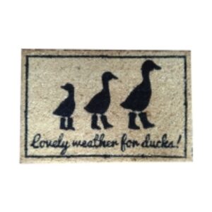 Coir Mats by  Saina Exports 