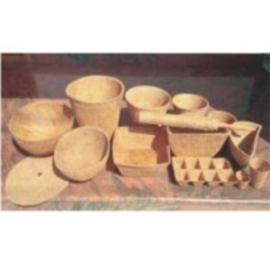 Coco Pot by  Saina Exports 