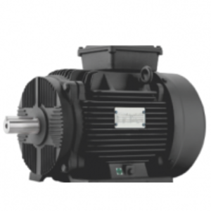 Induction Motor B3-Foot Mounted by  Falcon Pumps Pvt. Ltd. 