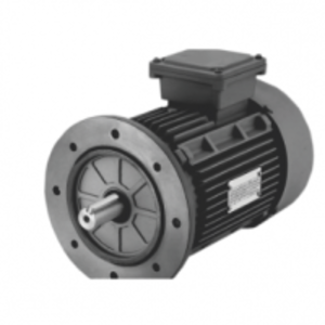 Induction Motor (B-5 Flange Mounted) by Falcon Pumps Pvt. Ltd.