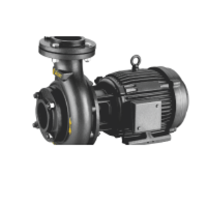 Agricultural Monoblock by Falcon Pumps Pvt. Ltd.