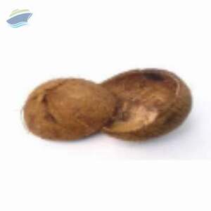 Coconut Shells by  PT. Lokakarya Agri Indonesia 