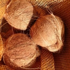 Semi Husked Coconut by  Nhamita Co., Ltd. 