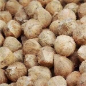 Semi Husked Coconut by  Pt Buana Aceh Sejahtera 