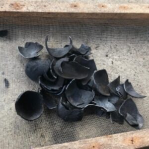 Coconut Shell Charcoal by Palm Products